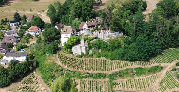 Immobilie in Teufenthal Ag - Stilvolles, ruhig gelegenes 8.5-Zimmer-Einfamilienhaus. - Bild 40