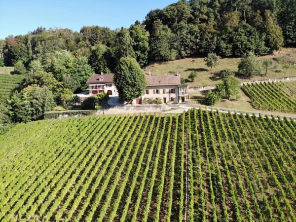 Immobilie in Luins - Luins, Domaine viticole avec forêt, vue imprenable lac - Bild 1