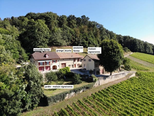 Immobilie in Luins - Luins, Domaine viticole avec forêt, vue imprenable lac - Bild 2