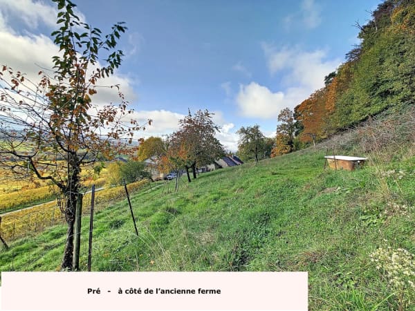 Immobilie in Luins - Luins, Domaine viticole avec forêt, vue imprenable lac - Bild 4