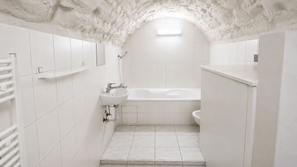Immobilie in Wolfwil - Grosszügiges Mehrgenerationenhaus mit drei Wohneinheiten - Bild 8