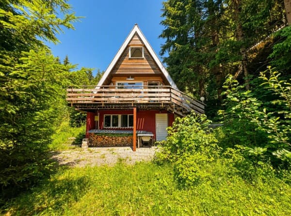 Immobilie in Alpthal - Ferienhaus in Alpthal - Bergpanorama inklusive - Bild 0