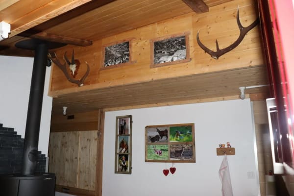 Immobilie in Erschmatt - Alpine Idylle pur - naturverbundener Rückzugsort auf der Bachalp (VS) - Bild 9