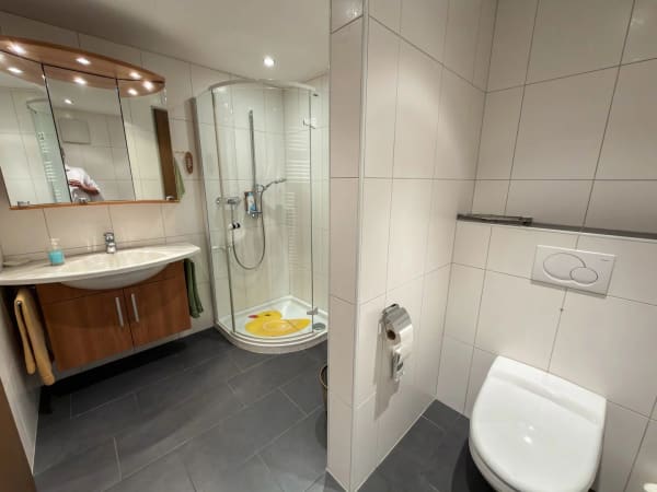 Immobilie in Scuol - Charmante 3-Zimmer-Wohnung mit Bergpanorama in Scuol - Bild 9