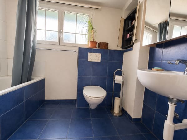 Immobilie in Niedergösgen - GrosszÃ¼giges Einfamilienhaus mit vielseitigen NutzungsmÃ¶glichkeiten - Bild 5