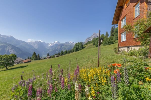 Immobilie in Braunwald - 6.5-Zi-Ferienhaus an idyllischer Panoramalage - Bild 14