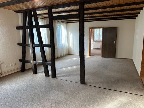 Immobilie in St. Gallen - Zweifamilienhaus mit 4 Garagenplätzen will entdeckt werden! Preis bankengeprüft! - Bild 20