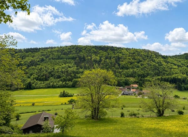 Immobilie in Langenbruck - Einfaches WochenendhÃ¤uschen  - KEIN FESTER WOHNSITZ MÃ–GLICH - Bild 1