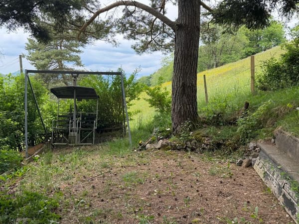 Immobilie in Langenbruck - Einfaches WochenendhÃ¤uschen  - KEIN FESTER WOHNSITZ MÃ–GLICH - Bild 10