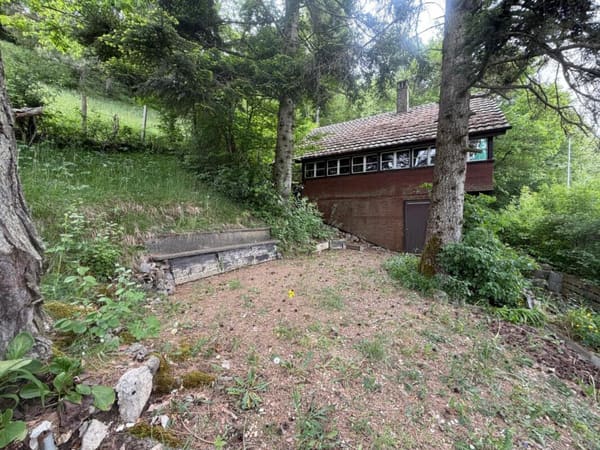Immobilie in Langenbruck - Einfaches WochenendhÃ¤uschen  - KEIN FESTER WOHNSITZ MÃ–GLICH - Bild 11