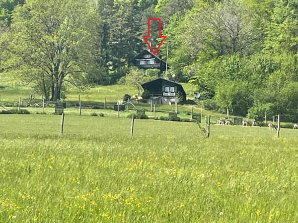 Immobilie in Langenbruck - Einfaches WochenendhÃ¤uschen  - KEIN FESTER WOHNSITZ MÃ–GLICH - Bild 14