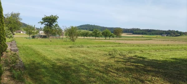 Immobilie in Windlach - Neubauprojekt - Sechs Familienhäuser in Windlach ZH - Bild 2