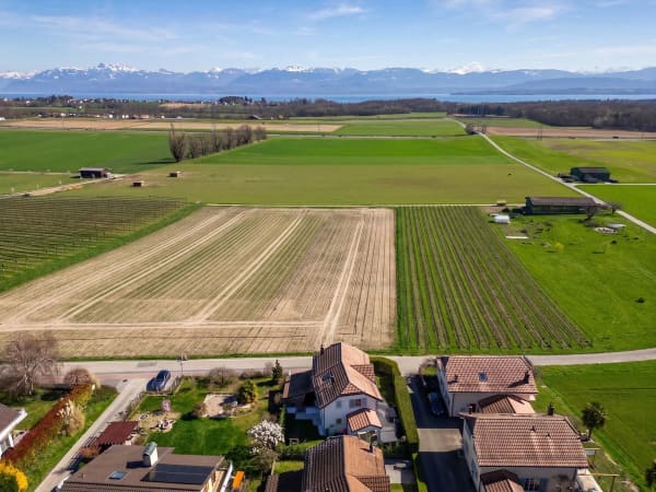 Immobilie in Luins - Confort et élégance pour cette maison individuelle entre Rolle et Nyon - Bild 1
