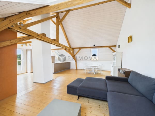 Immobilie in Bussnang - Modernisiertes Zweifamilienhaus mit Weitblick, Doppelgarage und viel Platz - Bild 1