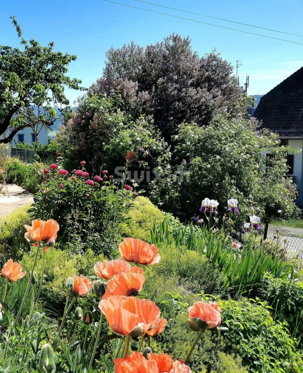 Immobilie in Les Hauts-geneveys - Charmante villa lumineuse au Val-de-Ruz | Proche NeuchÃ¢tel - Bild 5