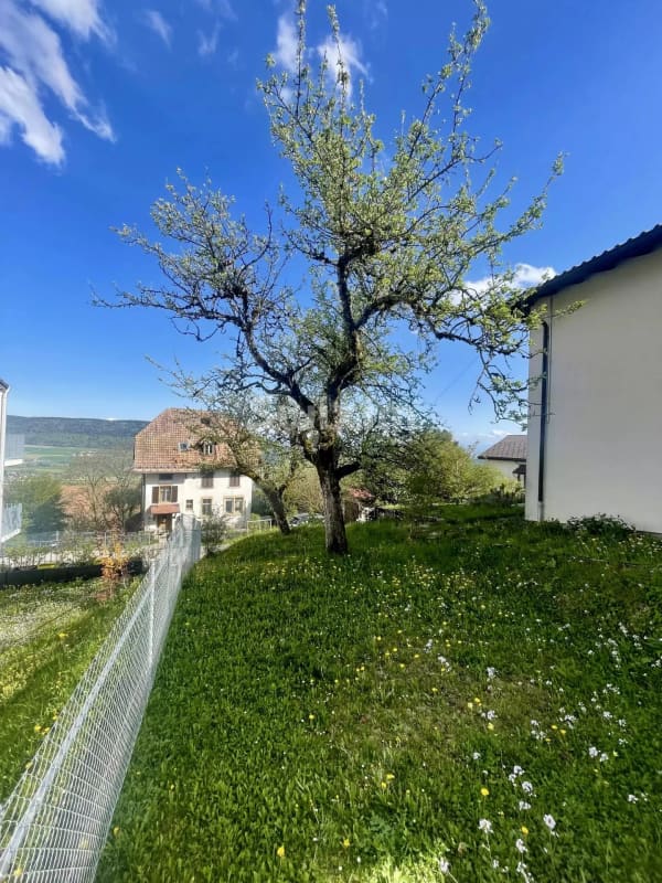 Immobilie in Les Hauts-geneveys - Charmante villa lumineuse au Val-de-Ruz | Proche NeuchÃ¢tel - Bild 6