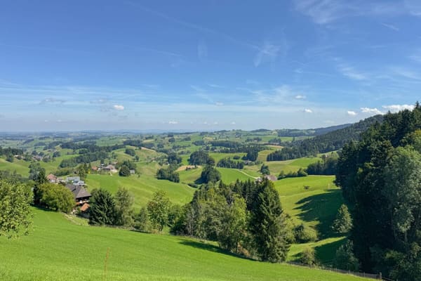 Immobilie in Wyssachen - Stille, Weitblick, Geborgenheit - charmantes Refugium fÃ¼r Garten- und Naturliebhaber - Bild 15