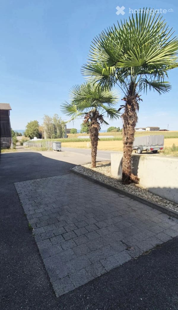 Immobilie in Corcelles-près-payerne - Appartement 4.5 pièces :  lumineux - 2 places de parc extérieures incluses - Bild 15