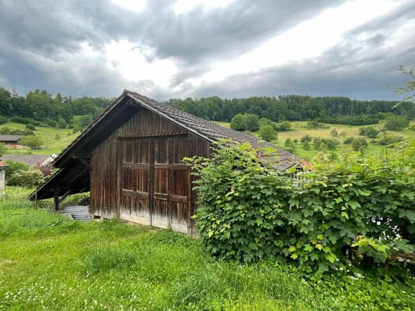 Immobilie in Wintersingen - GrosszÃ¼gige Liegenschaft mit 2 Wohneinheiten und Potenzial - Bild 1