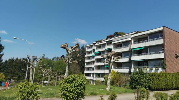 Immobilie in Wädenswil - 3.5-Zimmer-Wohnung Tiefenhofstrasse 15 - Bild 0