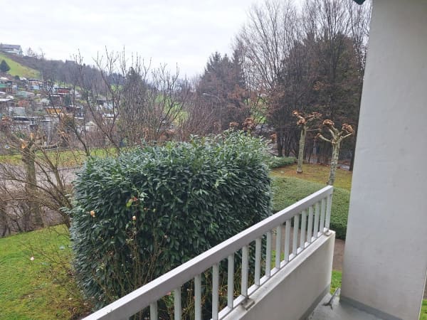 Immobilie in Wädenswil - 3.5-Zimmer-Wohnung Tiefenhofstrasse 15 - Bild 8