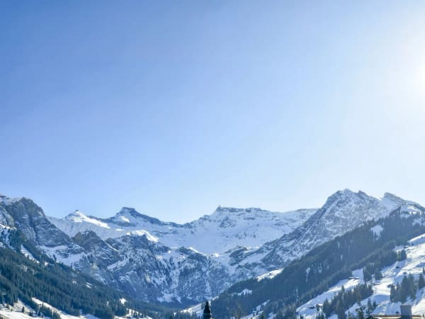 Immobilie in Adelboden - Moderne 4.5-Zimmer-Wohnung im 1. OG - Bild 18