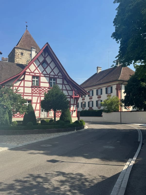 Immobilie in Kaiserstuhl Ag - Das Leben ist im Fluss â€“ doch will man es festhalten - Bild 3