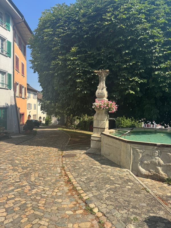 Immobilie in Kaiserstuhl Ag - Das Leben ist im Fluss â€“ doch will man es festhalten - Bild 5
