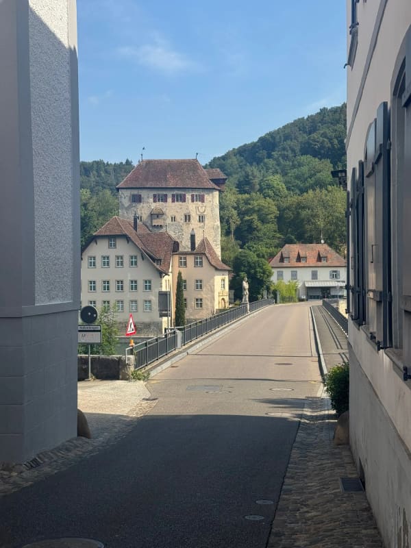 Immobilie in Kaiserstuhl Ag - Das Leben ist im Fluss â€“ doch will man es festhalten - Bild 6
