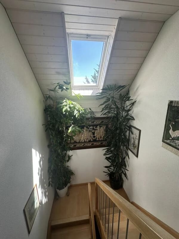 Immobilie in Salavaux - Villa individuelle de 5.5 piÃ¨ces avec garage - Bild 18