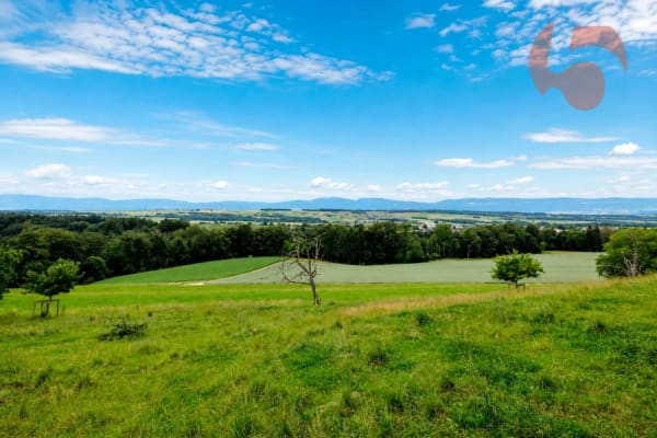 Immobilie in Bercher - Magnifique villa de 4.5 piÃ¨ces avec vue panoramique sur le Jura et la campagne environnante - Bild 3