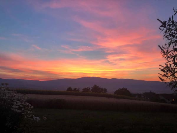 Immobilie in Corcelles-sur-chavornay - Appartement de 3.5 piÃ¨ces en attique avec vue sur le Jura - Bild 7