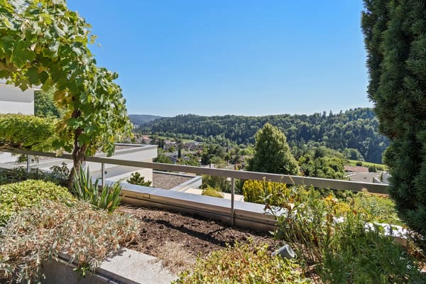 Immobilie in Stallikon - Stilvolle Attika-Terrassenwohnung mit Panoramasicht - Bild 8