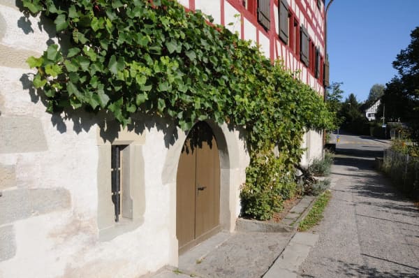 Immobilie in Uerikon - UNVERBAUBARE PANORAMASICHT – 5½-ZIMMER-WOHNUNG ÜBER DEM ZÜRICHSEE - Bild 11