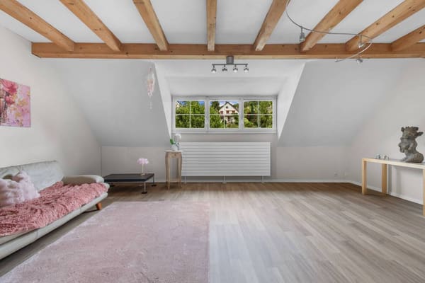 Immobilie in Lupsingen - Charmantes Baselbieter Bauernhaus mit modernem Wohnkomfort! - Bild 10