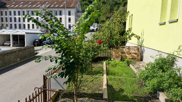 Immobilie in Flums - ZWEI 4.5-ZIMMER-HAUSHÃ„LFTEN â€“ WOHNEN & VERMIETEN IN FLUMS - Bild 3