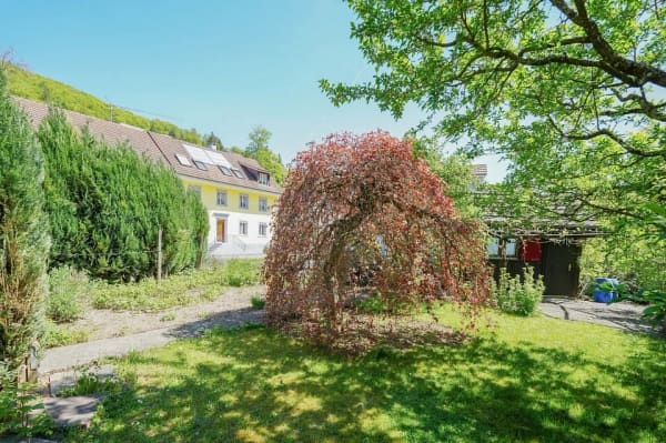 Immobilie in Etzgen - Raumwunder mitten im idyllischen Dorfkern mit grosser Gartenparzelle (optional) - Bild 6