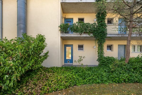 Immobilie in Aarberg - 3.5-Zimmer-Wohnung in charmanten, altersgerechtem Mehrfamilienhaus - Bild 3