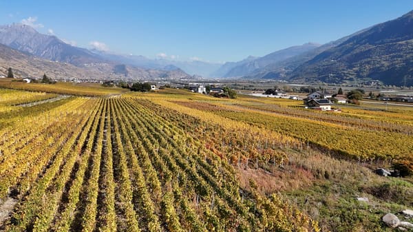 Immobilie in St-pierre-de-clages - DerniÃ¨re opportunitÃ© â€“ Villa 4.5 piÃ¨ces neuve Ã  St-Pierre-de-Clages - Bild 6