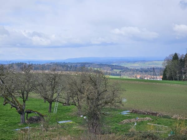 Immobilie in Bertschikon - Neubau-Loftwohnung mit Aussicht, Ruhe und Komfort - Bild 5