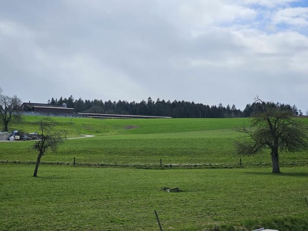 Immobilie in Bertschikon - Neubau-Loftwohnung mit Aussicht, Ruhe und Komfort - Bild 6