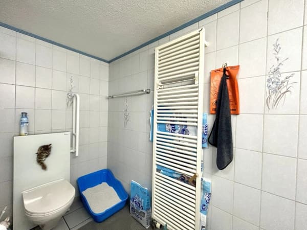 Immobilie in Thörigen - Modernisiertes Einfamilienhaus mit hochwertigem Neubau-Anbau und 3 Einstellplätzen! Kopie - Bild 16