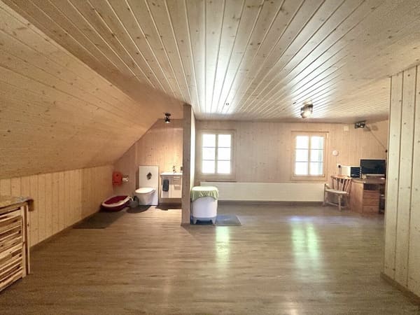 Immobilie in Thörigen - Modernisiertes Einfamilienhaus mit hochwertigem Neubau-Anbau und 3 Einstellplätzen! Kopie - Bild 8