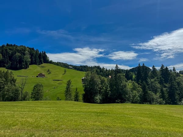 Immobilie in Dicken - Historischer Charme trifft vielseitige Nutzungsmöglichkeiten - Bild 1