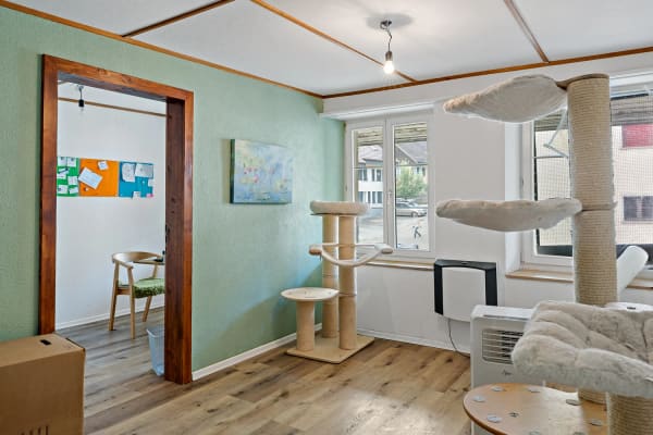 Immobilie in Rietheim - AussergewÃ¶hnliches Haus mit viel Potential - Bild 2