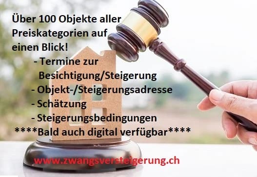 Immobilie in Wallisellen - *3-Familienhaus* - Bild 5