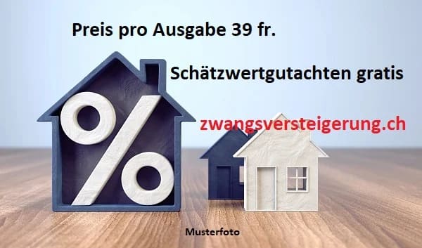 Immobilie in Wallisellen - *3-Familienhaus* - Bild 7