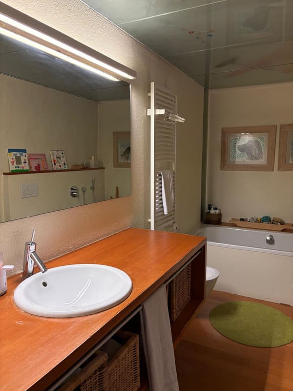 Immobilie in Ponte Capriasca - Magnifica casa indipendente nel nucleo - Bild 9