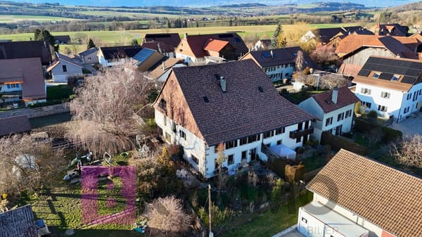 Immobilie in Ogens - Magnifique ferme équestre rénovée – 3 appartements – Ogens (VD) - Bild 1