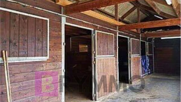 Immobilie in Ogens - Magnifique ferme équestre rénovée – 3 appartements – Ogens (VD) - Bild 22